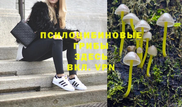 спиды Беломорск
