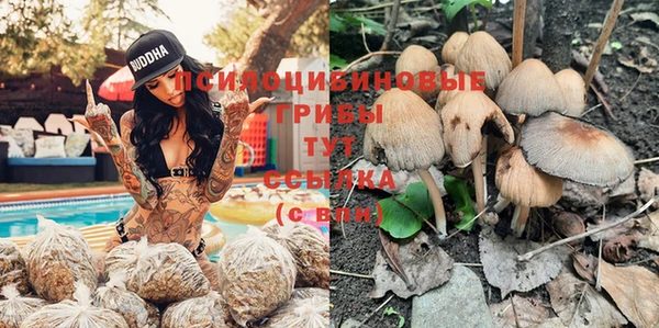индика Дмитров