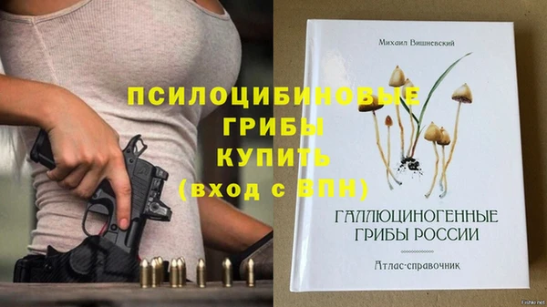 первитин Белоозёрский