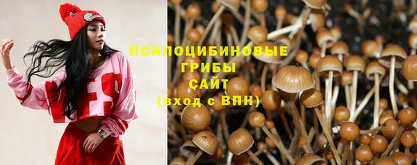 марки nbome Белокуриха