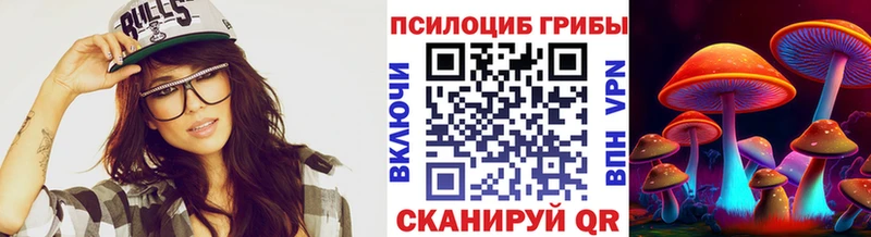 мега как зайти  купить закладку  Куртамыш  Псилоцибиновые грибы прущие грибы 
